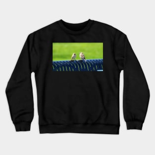 Two Sparrows Resting On a Bench Crewneck Sweatshirt